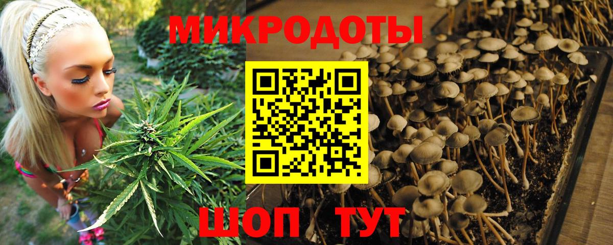 Северск  Галлюциногенные грибы ЛСД  Вход с VPN 