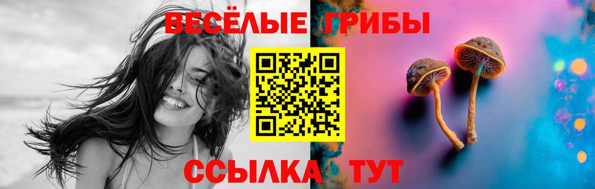 Галлюциногенные грибы GOLDEN TEACHER Северск